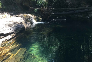 Porto et côte nord Chutes d'eau exclusives et secrètes en 4x4