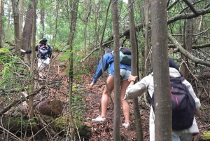 Porto et côte nord Chutes d'eau exclusives et secrètes en 4x4