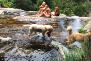 Porto et côte nord Chutes d'eau exclusives et secrètes en 4x4