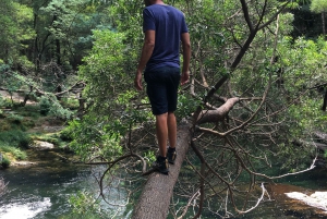 Porto et côte nord Chutes d'eau exclusives et secrètes en 4x4