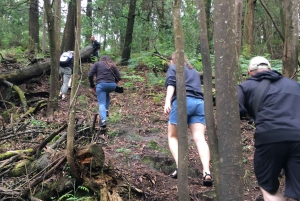 Porto et côte nord Chutes d'eau exclusives et secrètes en 4x4