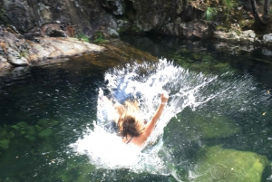 Porto et côte nord Chutes d'eau exclusives et secrètes en 4x4