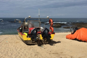 Porto et côte nord Chutes d'eau exclusives et secrètes en 4x4