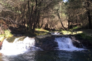 Porto et côte nord Chutes d'eau exclusives et secrètes en 4x4