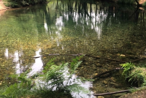 Porto et côte nord Chutes d'eau exclusives et secrètes en 4x4