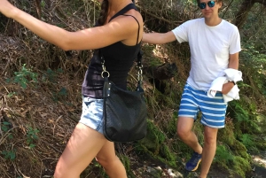 Porto and North coast Exclusive & Secret Waterfalls in 4x4