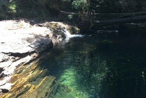 Porto and North coast Exclusive & Secret Waterfalls in 4x4