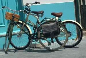 Porto and North coast Exclusive & Secret Waterfalls in 4x4