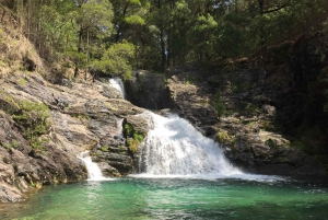 Porto and North coast Exclusive & Secret Waterfalls in 4x4