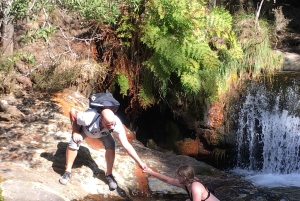 Porto and North coast Exclusive & Secret Waterfalls in 4x4