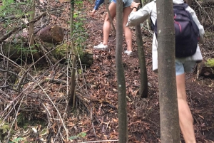 Porto and North coast Exclusive & Secret Waterfalls in 4x4