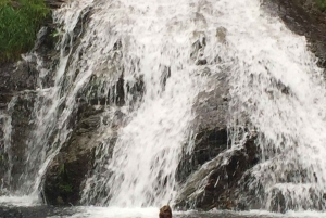 Porto and North coast Exclusive & Secret Waterfalls in 4x4