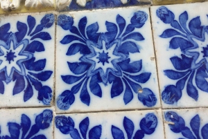 Porto and North coast Exclusive & Secret Waterfalls in 4x4