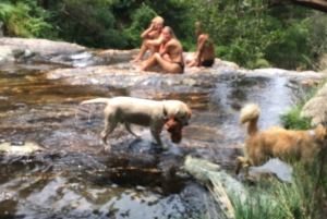 Porto and North coast Exclusive & Secret Waterfalls in 4x4