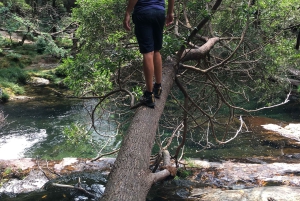 Porto and North coast Exclusive & Secret Waterfalls in 4x4