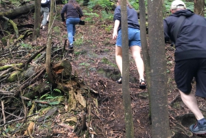 Porto and North coast Exclusive & Secret Waterfalls in 4x4