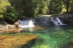 Porto and North coast Exclusive & Secret Waterfalls in 4x4