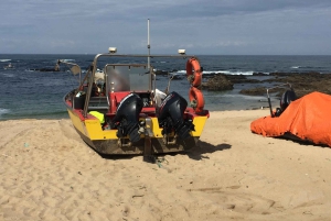 Porto and North coast Exclusive & Secret Waterfalls in 4x4