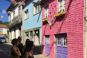 Porto and North coast Exclusive & Secret Waterfalls in 4x4