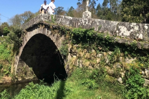 Porto and North coast Exclusive & Secret Waterfalls in 4x4