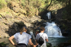 Porto and North coast Exclusive & Secret Waterfalls in 4x4