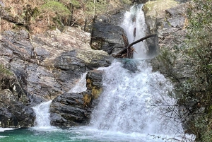 Porto and North coast Exclusive & Secret Waterfalls in 4x4