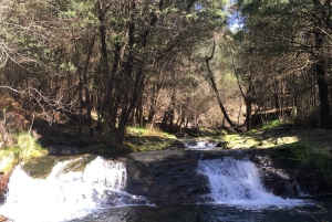 Porto and North coast Exclusive & Secret Waterfalls in 4x4