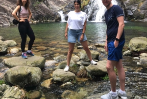 Porto and North coast Exclusive & Secret Waterfalls in 4x4