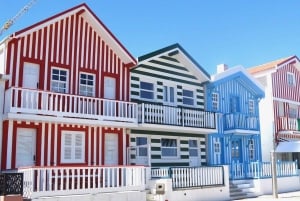 Porto: Aveiro & Coimbra Private Tour