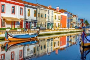 Porto: Aveiro & Coimbra Private Tour