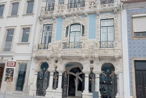 Порту: полудневная экскурсия по Авейру для небольшой группы