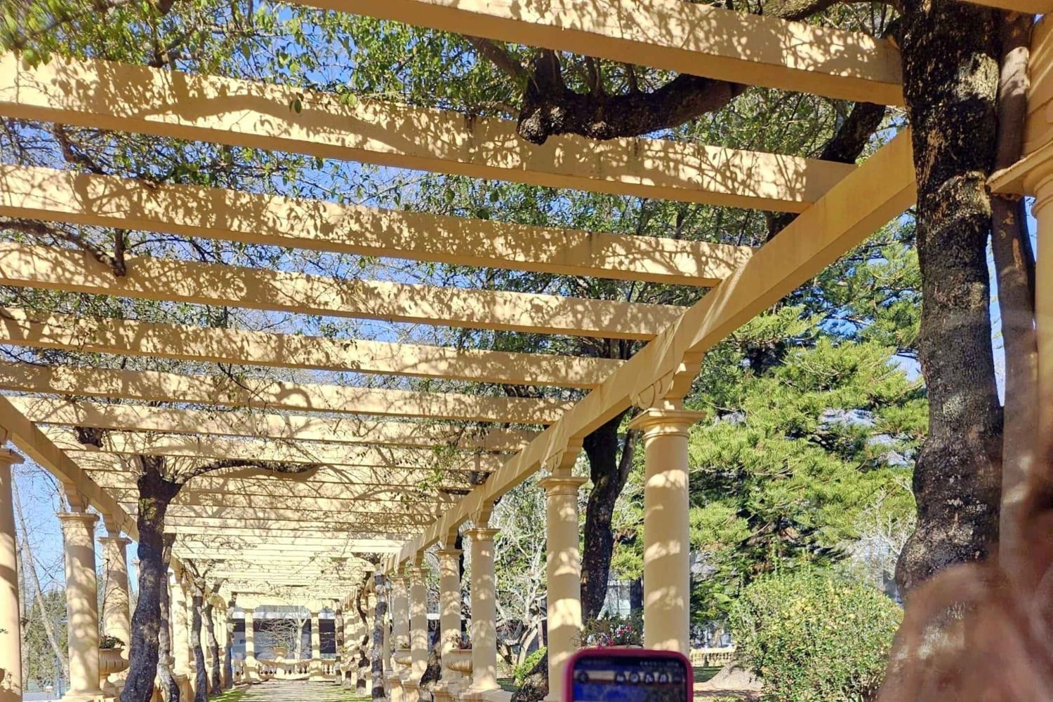 Porto: Aveiro Small-Group Half Day Tour