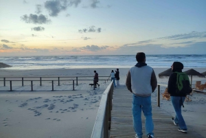 Porto: Aveiro Small-Group Half Day Tour