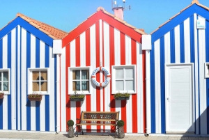Porto: Aveiro Small-Group Half Day Tour