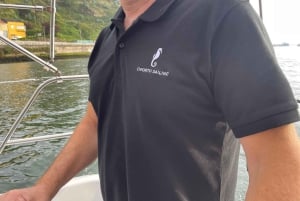 Porto: Sjarmerende seilbåtcruise med solnedgang