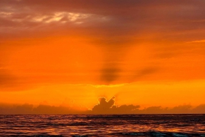 Porto Barca CONDIVISA: Ponti, foce del fiume e tramonto con bevande