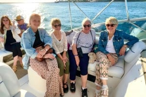 Tour in barca di Porto con degustazione: Ponti, foce del fiume, vino e cibo