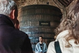 Porto: Bridges Cruise e tour in battello della cantina