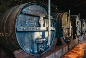 Porto: Bridges Cruise e tour in battello della cantina