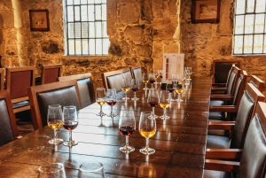 Porto: Bridges Guidet Krydstogt og vinkældertur