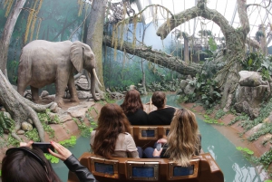 Porto: Bruggencruise & Wereld van Ontdekkingen & Zonsondergangoptie