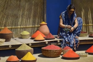 Oporto: crucero por los puentes, Mundo de Descubrimientos y opción al atardecer