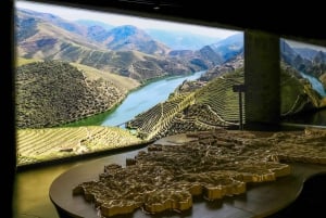 Porto: Tour delle cantine Cálem, spettacolo di Fado e degustazione di vini