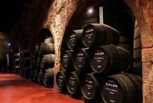 Porto : Caveau Cálem avec dégustation de chocolat, de fromage et de vin