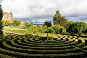 Porto : Billet d'expérience pour la Casa São Roque et Trindade
