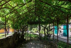 Porto: São Roquen suora pääsylippu