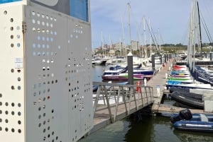 Porto: gedeelde dagtour, met drankjes en snacks