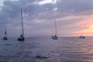 Porto: gedeelde dagtour, met drankjes en snacks