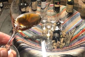 Oporto: Degustación de Queso y Vino de Oporto en un Lugar Único