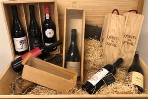 Oporto: Degustación de Queso y Vino de Oporto en un Lugar Único